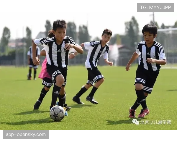 意甲联盟推出“足球遗产”项目，资助中小俱乐部青训营维护